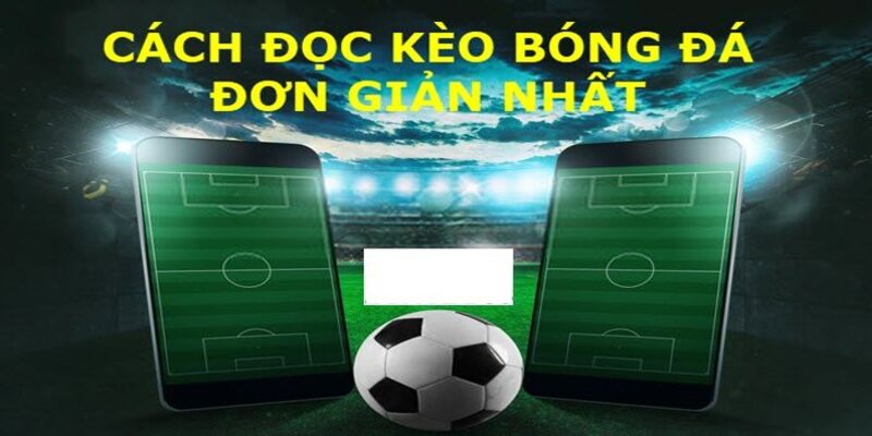 Hướng dẫn anh em tại nhà cái 77bet cách đọc kèo bóng đá chi tiết nhất hiện nay